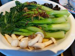 -新白鹿餐厅(虹桥南丰城店)