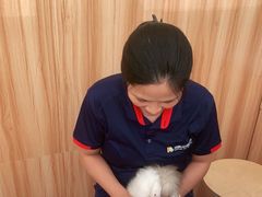 -瑞鹏宠物医院·骨科·猫科·内科(第一中心)