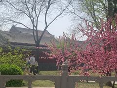 -莲池书院博物馆