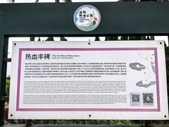 -临高角