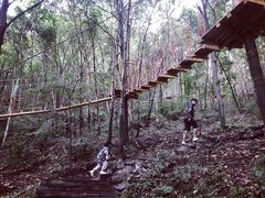 -白草畔自然风景区