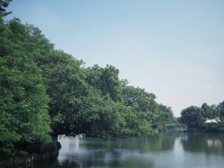 -小鲤鱼寻宝记·AR亲子户外剧本闯关(广州东山湖公园店)