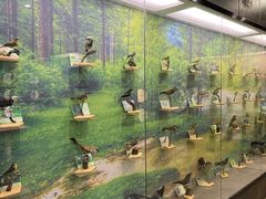 -下渚湖国家湿地公园科普馆