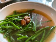 上汤南瓜苗-金苑海鲜酒家(来魅力店)