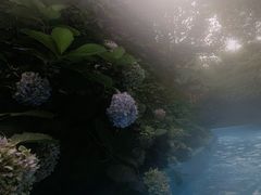 -热带风暴水上乐园
