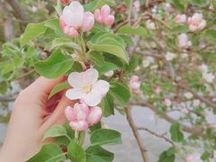 -北京植物园南门售票处