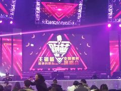 -南京奥林匹克体育中心-体育馆