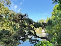 -上海醉白池公园
