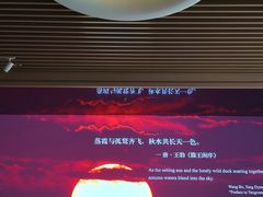 -中国湿地博物馆