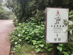 -敬亭山风景名胜区