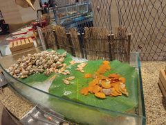 -宁波阳光豪生大酒店·豪生咖啡厅