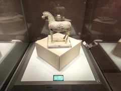 -张掖市博物馆