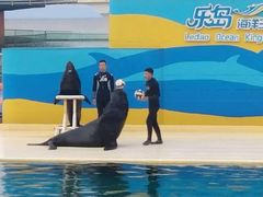 -秦皇岛乐岛海洋王国