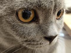 -iF摄影•全家福•证件照•形象照(南山店)