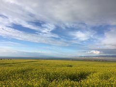 -青海湖国家重点风景名胜区