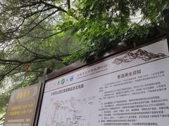 -苍山感通索道