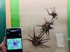 -四川大学博物馆