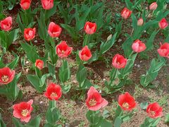 -长春公园(普阳街道)