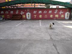 -界山丁老二丁记老鸭汤饭店