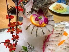 东星斑-尚海豆捞(乐虹坊店)