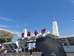 -碧海金沙
