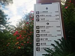 -金鸡山公园