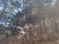 -沕沕水生态风景区