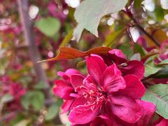 -元大都城垣遗址公园