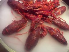 -红盔甲·小龙虾(车公庙店)