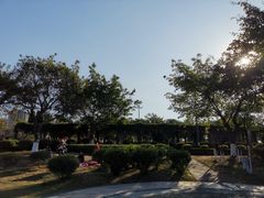 -飞来湖湿地公园