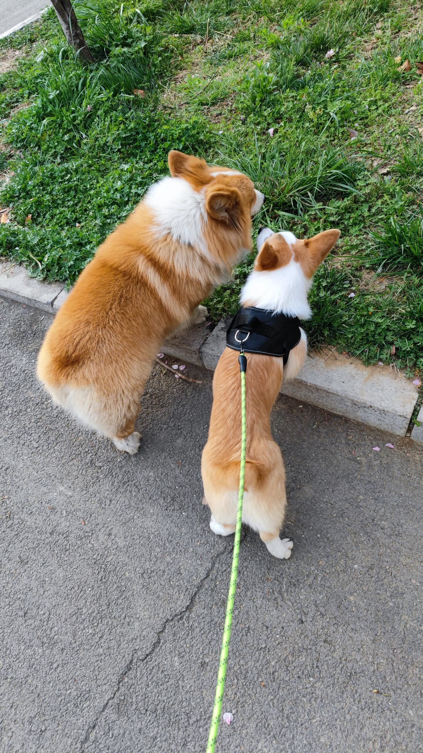 胖头陀和瘦头陀