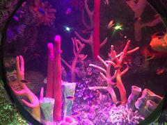 -沈阳海洋探索中心