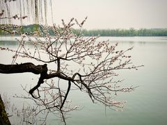 -颐和园