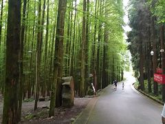 -山王坪喀斯特国家生态公园