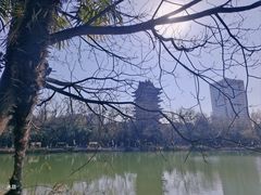 -浮庄