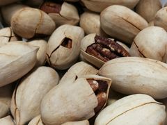 -小宝栗子(嘉华国际商业中心店)