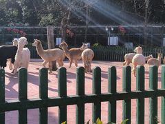 -无锡动物园·太湖欢乐园
