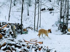 -北极村旅游风景区