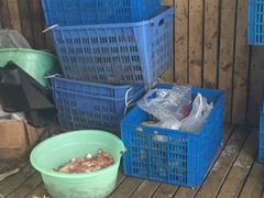 -金太粽(上海弄堂第一粽店)