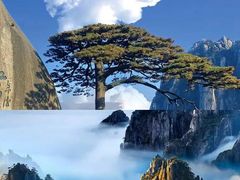 -黄山风景区