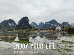 -靖西鹅泉风景区