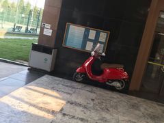 -二十一世纪饭店-游泳馆