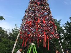 -帽儿山国家森林公园