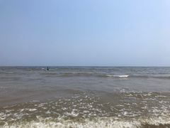 -日照海滨国家森林公园