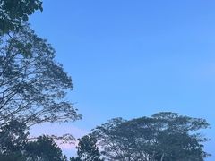 -聚龙山公园
