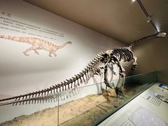 -自贡恐龙博物馆