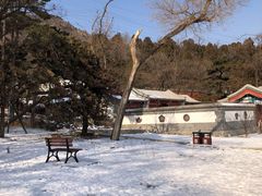 -阳台山自然风景区
