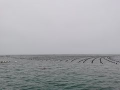 -广鹿岛景区