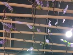 -四季合味椰子鸡(南山大冲店)