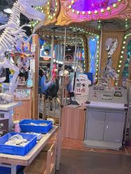 -卡通尼乐园(宝山龙湖天街店)
